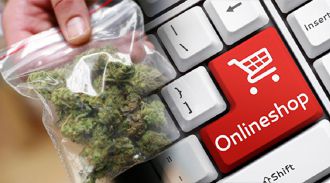 МВД предложило повысить ответственность владельцев сайтов за пропаганду наркотиков