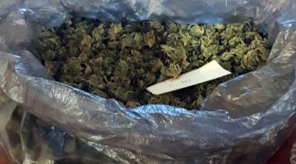 В Амурской области у местного жителя изъяли 200 кг марихуаны