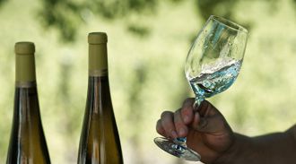Пить белое вино в жару полезнее, чем красное, рассказали в Минздраве