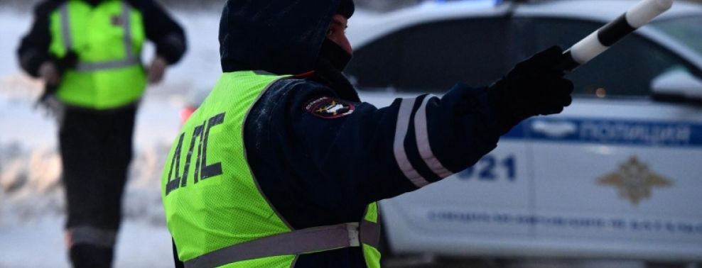 В Ленобласти задержали автомобилиста с 174 кг наркотиков в багажнике