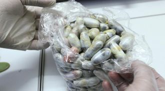 С начала года в России изъяли около 16 т наркотических веществ