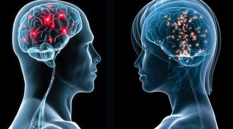 Ученые раскрыли различия в действии алкоголя на женский и мужской мозг