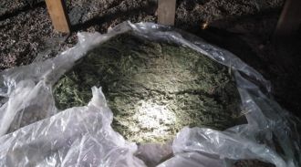 В Хабаровском крае осудили мужчину, у которого изъяли более 24 кг наркотиков