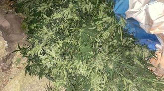 В Волгоградской области у двух задержанных наркоторговцев изъяли более 45 кг марихуаны