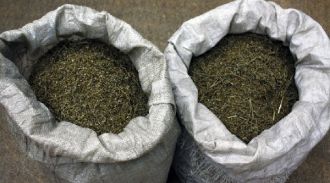 Более 105 кг марихуаны изъяла столичная полиция у приезжего и жителя Подмосковья