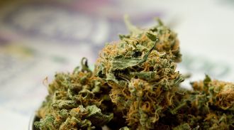 МВД предлагает расширить список запрещенных наркотических средств и растений