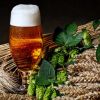 Содержание гормонов в пиве и влияние на организм
