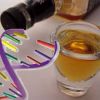 Как влияет ген алкоголизма на потомство